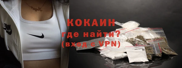 сатива Арсеньев
