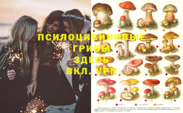 кокаин премиум Армянск