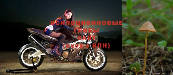 трава Гусиноозёрск