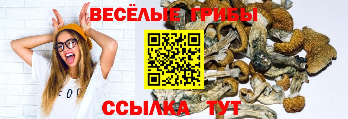 Галлюциногенные грибы MAGIC MUSHROOMS  Галлюциногенные грибы MAGIC MUSHROOMS  Вход с VPN  Новодвинск 