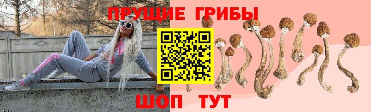 Галлюциногенные грибы ЛСД Новодвинск